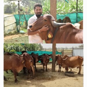 L-Neemuch111025114327