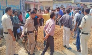 image_750x_68f08eceaa87a