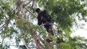 चित्तौड़गढ़ में टॉवर पर चढ़ा युवक