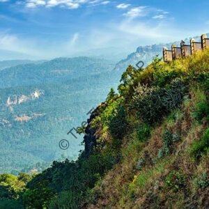 WhatsApp Image 2025-11-12 at 9.52.14 AM