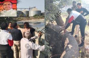 wmremove-transformed