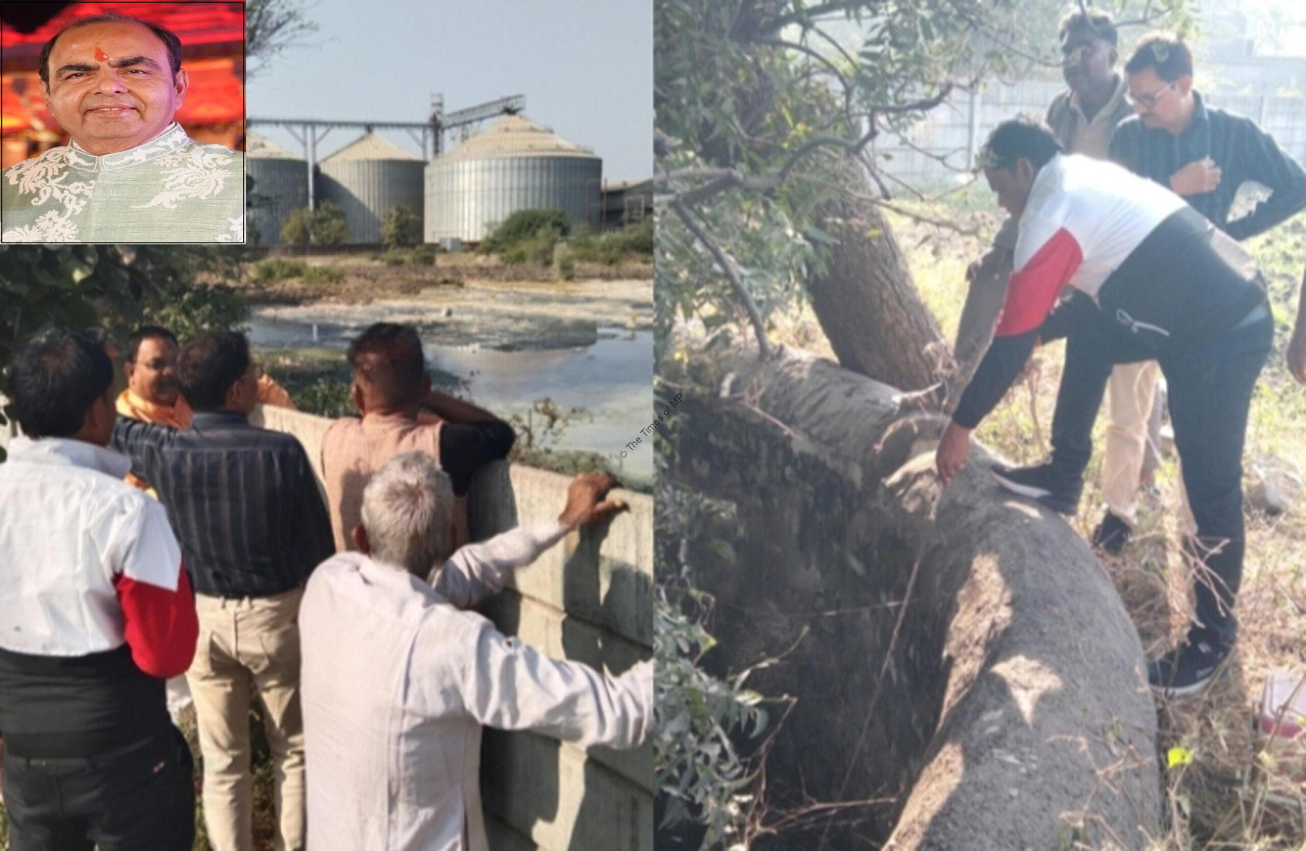 wmremove-transformed