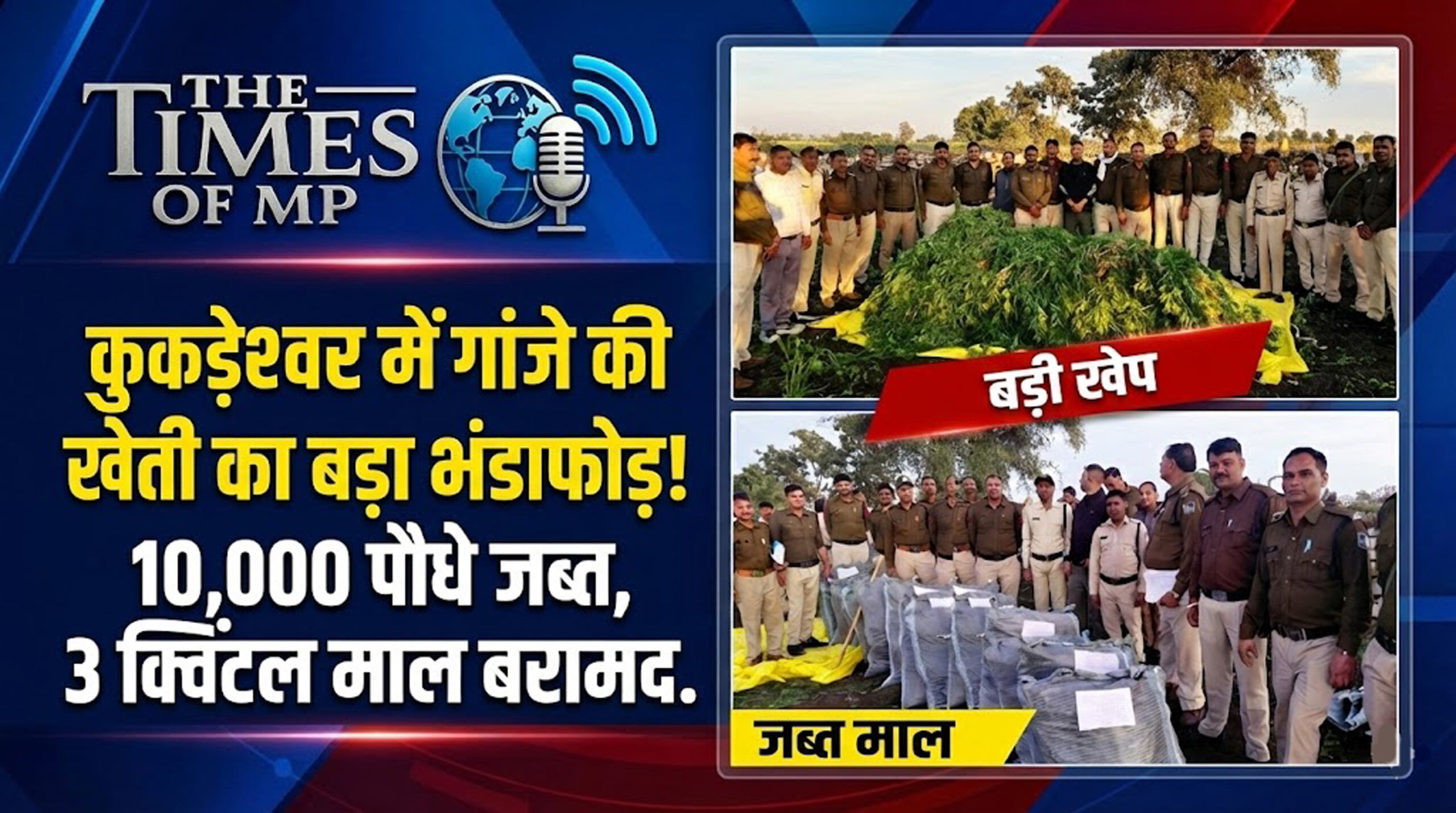 Ganja farming in Kukdeshwar