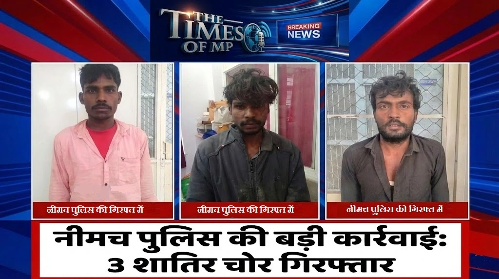 नीमच पुलिस की कार्रवाई
