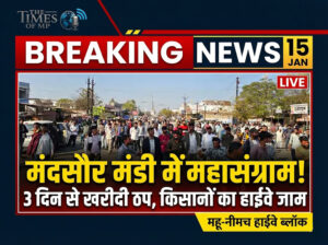 Mandsaur Mandi Strike