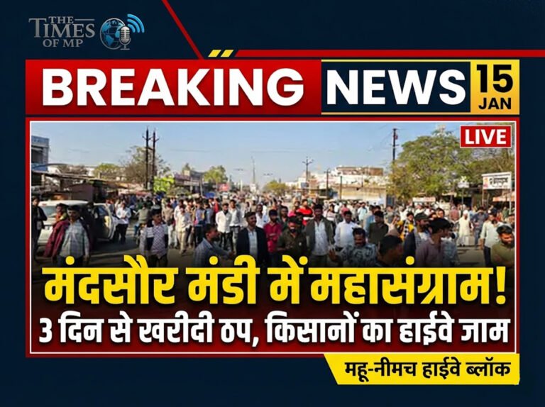 Mandsaur Mandi Strike