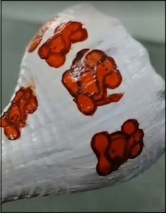 उज्जैन न्यूज़ (Ujjain News)