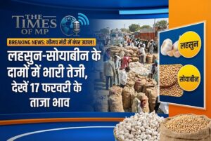 Neemuch Mandi Bhav 17 February 2026