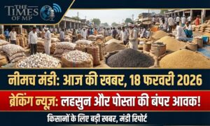 Neemuch Mandi Bhav 18 february 2026
