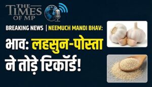 Neemuch Mandi Bhav 24 february 2026