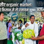 Organic Market: मन्दसौर का जैविक बाजार बन रहा है किसानों और ग्राहकों की पहली पसंद!