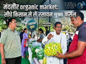 Organic Market