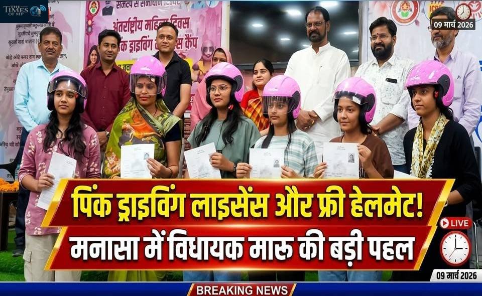 Pink Driving License