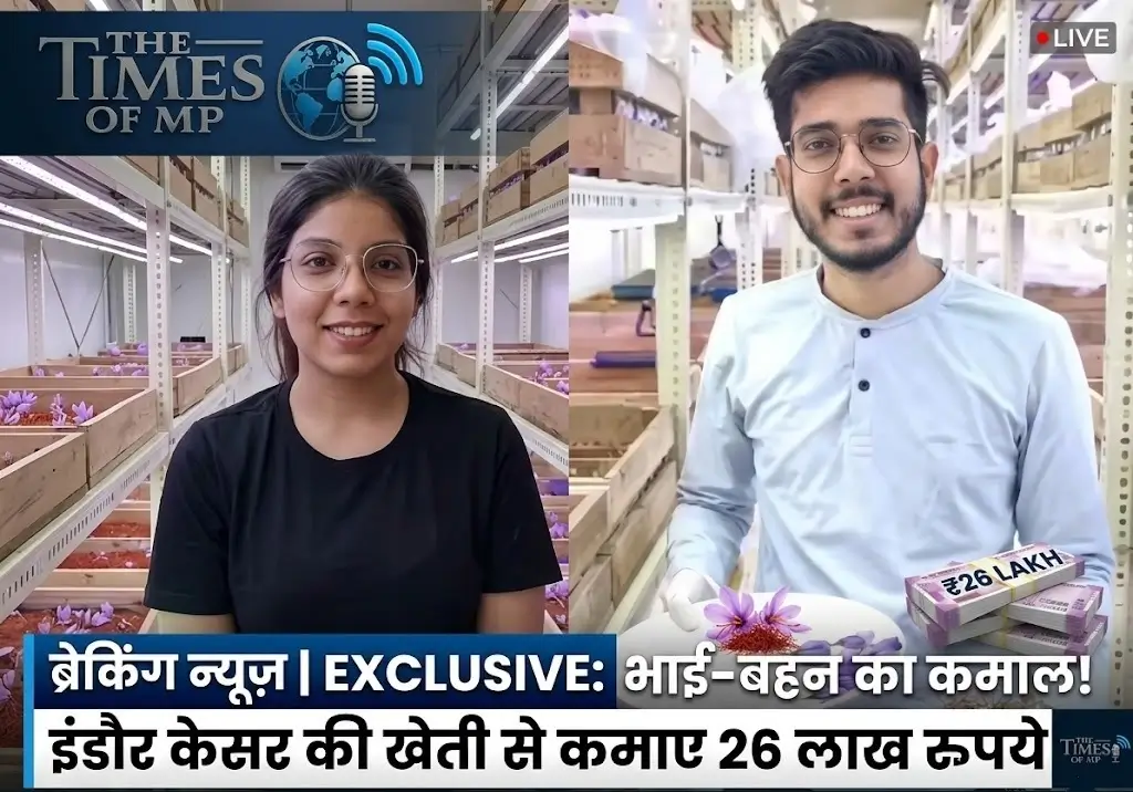 Indoor Saffron Farming