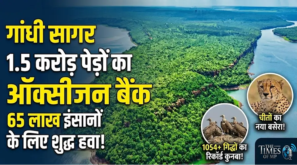 गांधी सागर