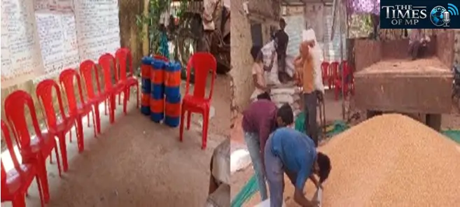 गेहूं खरीद MSP