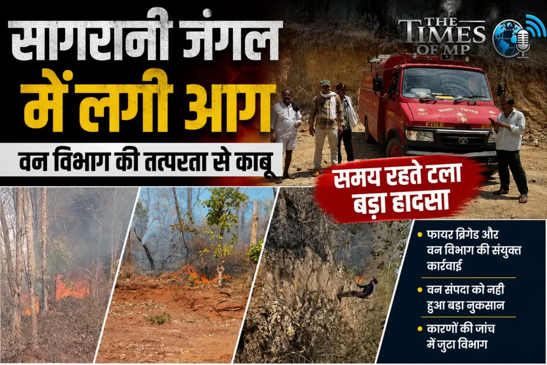 सागरानी जंगल