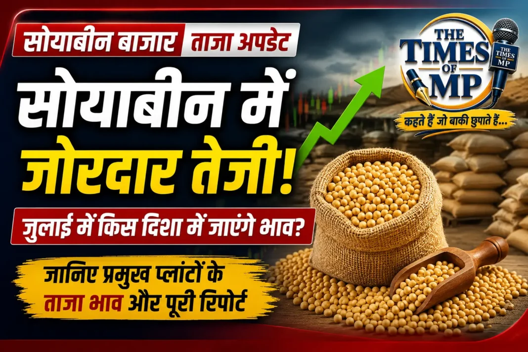 सोयाबीन बाजार-The Times Of MP