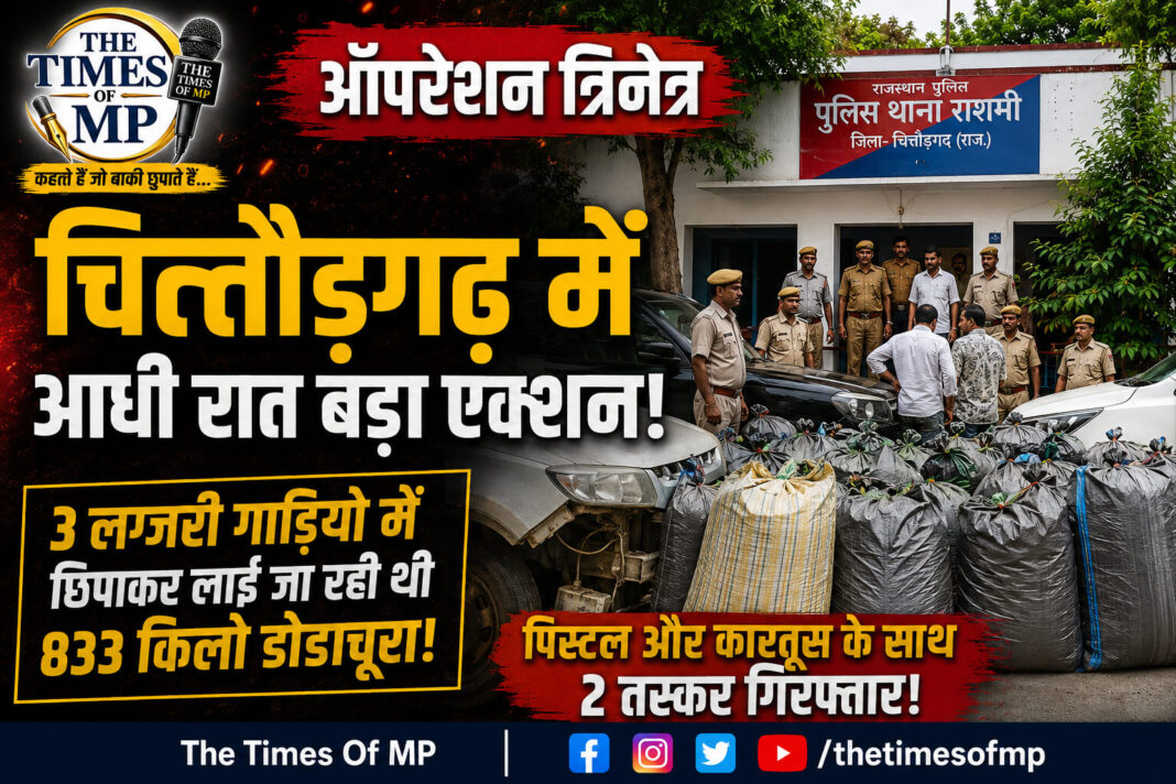 चित्तौड़गढ़- The Times of mp