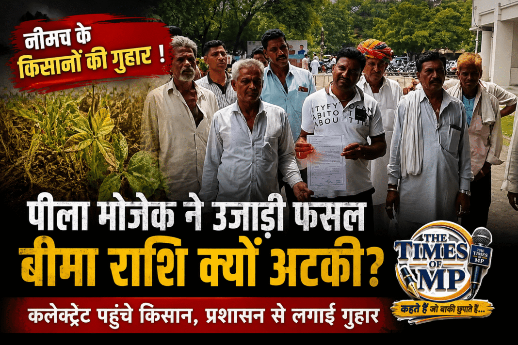 फसल बीमा राशि | The Times of MP