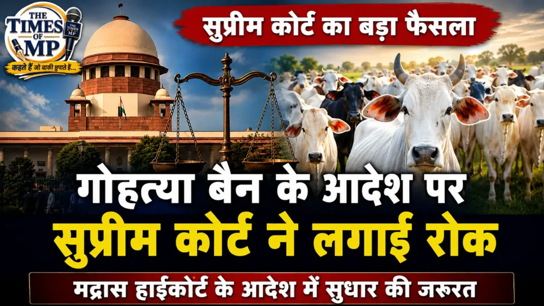 सुप्रीम कोर्ट गोहत्या आदेश मामले में मद्रास हाईकोर्ट के फैसले पर अंतरिम रोक से जुड़ा सांकेतिक दृश्य | The Times of MP