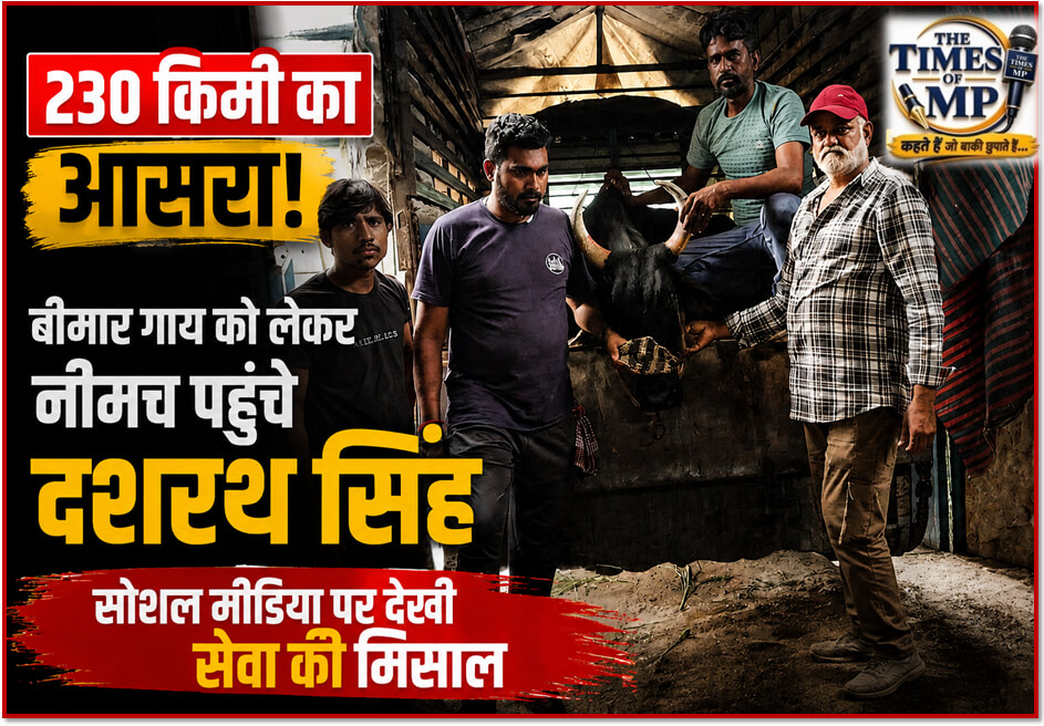 gau seva samiti neemuch | The Times of MP