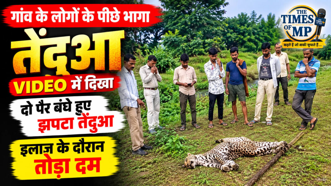 bajna-ghayal-tendua-death bajna-ghayal-tendua-death | The Times of MP