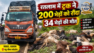 रतलाम के जावरा में ट्रक ने 200 भेड़ों को रौंदा, 34 की मौत; चालक फरार
