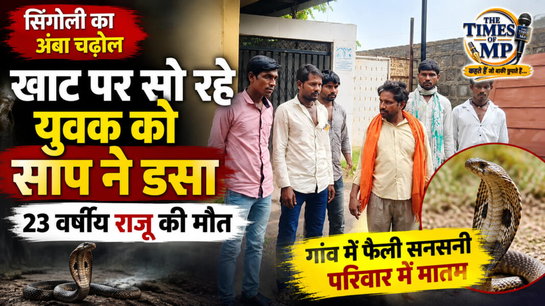 singoli-amba-chadol-snake-bite-raju-death | the times of mp